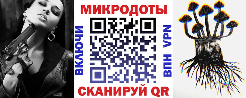 Псилоцибиновые грибы Psilocybe  Куртамыш 